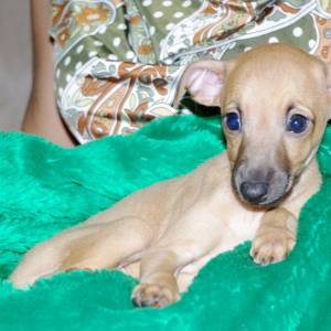 _nx--3mUG08_original