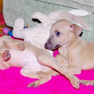 dQ1tLfUWpHo_original