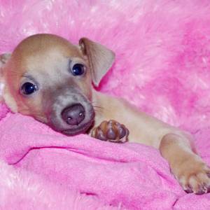 nnUkhfZ6WQI_original