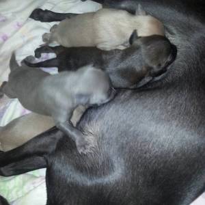 yqM8D87xd6U_original