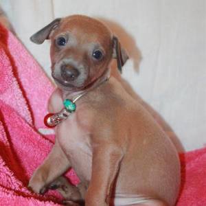 0S08J8JnE3A_original