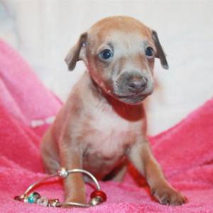 10LyFZJKPkw_original