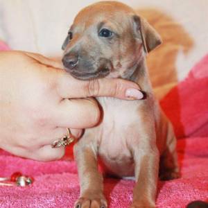 UGy1ZAiq2zo_original