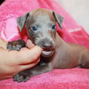 satcIji00mE_original