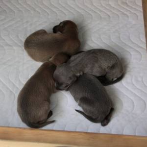 76DNZBavm48_original