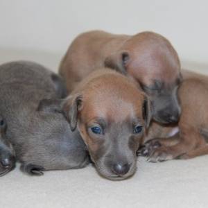 FULnRD21lPQ_original