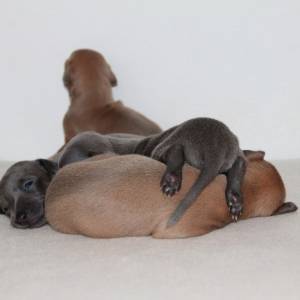 cLCWjlCAX88_original