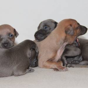 j_3GbmMM7Ag_original