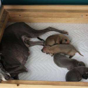 luheitynSMw_original