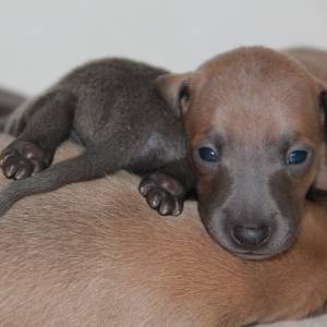 n68ennehyNs_original