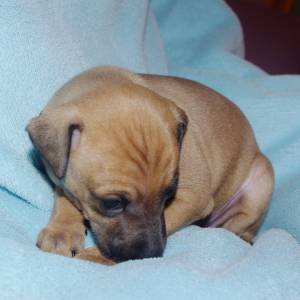 I33mFX0bI8Q_original