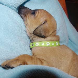 q1U2JF5RL_c_original