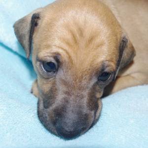 yU7wM8rSrZk_original