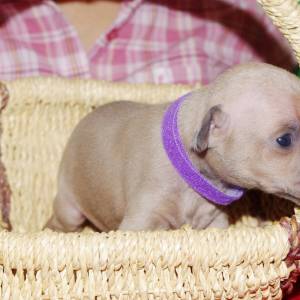 aygyz1kJoXE_original