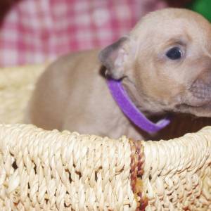 hNi4W-g9IHA_original