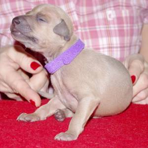 sIqtLnSDfss_original