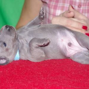 5jp5RhW8Auo_original