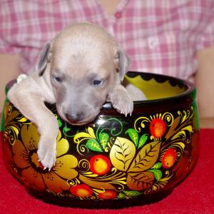 9uY_4fU5Jlc_original