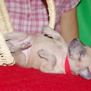 Pqt7_aXUSMg_original