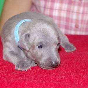 uuxhE0HAs3I_original