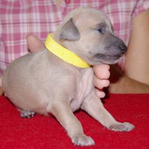 x7yEdHxekzY_original