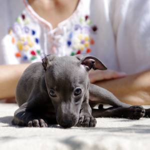 1mnHzAMep2U_original