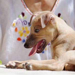 8-h7Wnjk_2Y_original