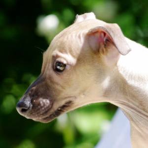 9VWYG9DtTZI_original