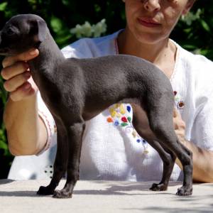 CyimDVYp9Yo_original