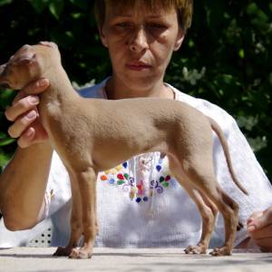 FUEfVD0qWbw_original