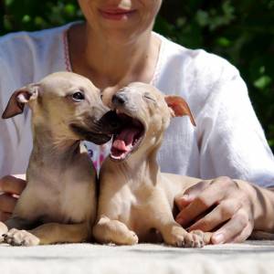 H4uQbNsahZk_original