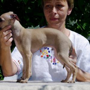 ZH-OQbDEv-8_original