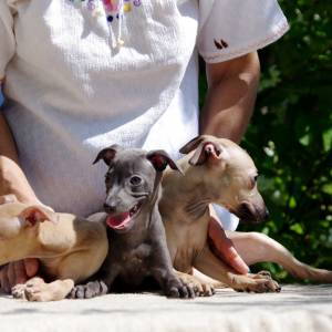 javNpTJs1Y4_original