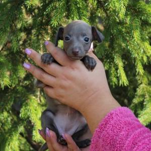 2t2nhJyO_2k_original