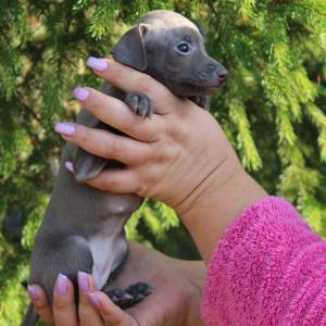 uthCdBHfRpc_original