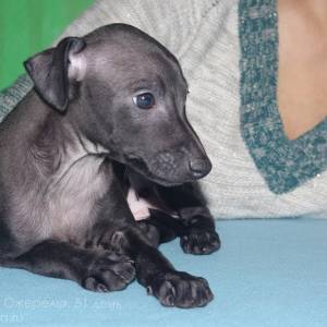 MxpXuXOhCtw_original