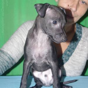 Q7jQzNMqv0M_original