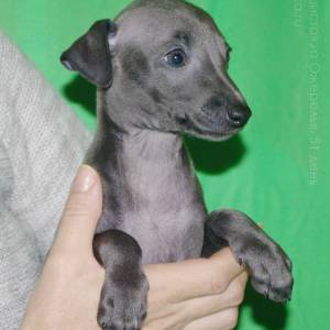 Ru99iONbmnA_original