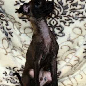 1PL1w8BQUjc_original