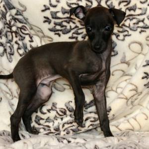 5BdYyRBWXaQ_original