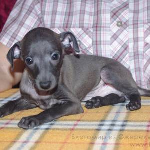 Gqz9HUG7XLg_original