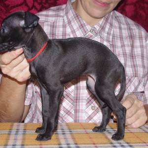 QMjIvCc_NPs_original