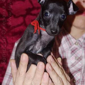 _y_iIgZmyxY_original