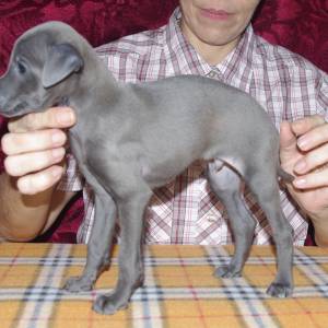 dm20RpB3ow0_original