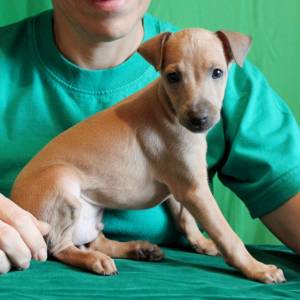 88G3l4z54Z0_original