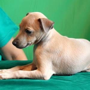 Y2JroAMLjg8_original