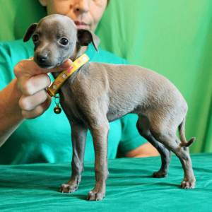 izX5z7s9JS0_original