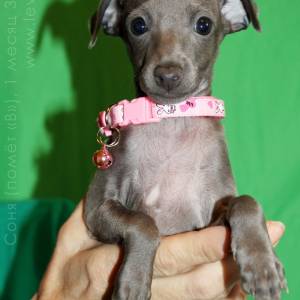 j5zdyB1KXRA_original