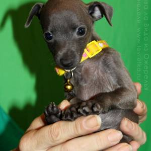 m6_-0SnMWLA_original