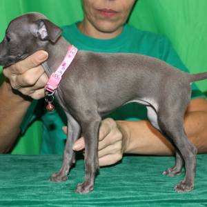 s4bwyI9r0UY_original